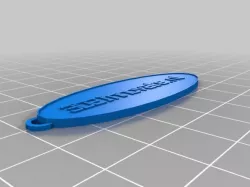 3D Oval Keychain
