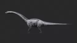 Animal - Dinosaur 06 3D model