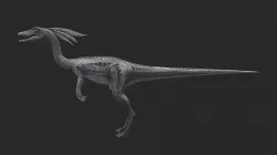 Animal - Dinosaur 12 3D model
