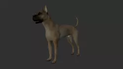 ANML-020 Dog Animated 3D model