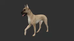 ANML-022 Dog Animated 3D model