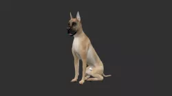 ANML-023 Dog Animated 3D model