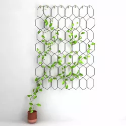 Anno Trellis   Modular  Set of  metal rings  Hexagon Compagnie 3D model