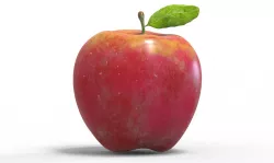 Apple Low-poly  3D model
