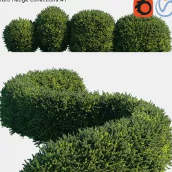 Auto hedge collections 1 3D model