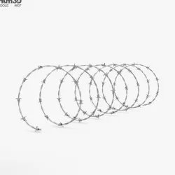 Barbed Wire 3D model