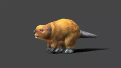 Beaver Baby - Low poly Animal Low-poly  3D model