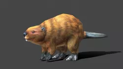Beaver - Low poly Animal Low-poly  3D model