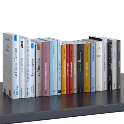 Books Set 11 Digest  3D model