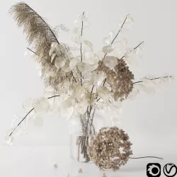 Bouquet with lunaria pampas grass and hydragea 3D model