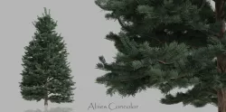 Conifer Trees Low-poly  3D model