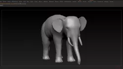 Elephant 3D model