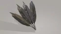 Feather 3D model