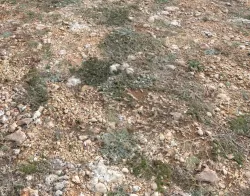 Ground terrain PBR pack 1 Texture