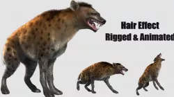 hair effected hyena wild dog  3D model