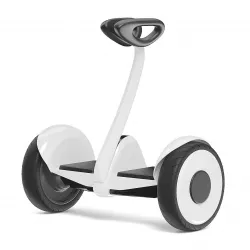 Hoverboard 3D Model 3D model