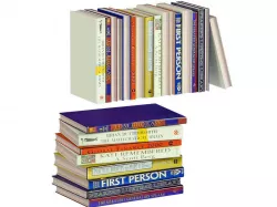 L3DV02G07 - books collection set 3D model
