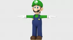 Luigi character from Super Mario Bros 3D model