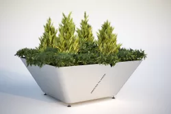 Lush green bush in planter 3D model