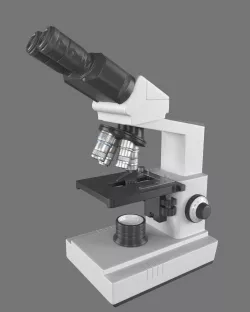 Microscope 3D model