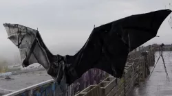 Nightmare Wing Bat Demon Creature Low-poly  3D model