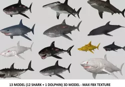Pack SHARK  Game ready 12 model 3D model