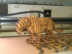 Panter