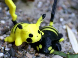 Pika! Splat - Multicolor