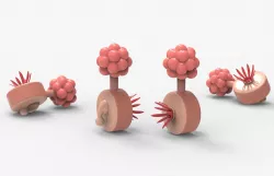 Plumbus original 3D model
