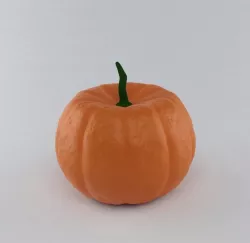 Pumpkin 3D model