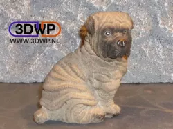 Shar Pei Puppy Sculpture (Dog Statue 3D Scan)