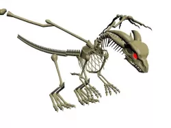Skeleton Dragon Low-poly  3D model