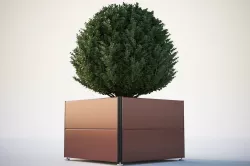 Spherical bush in a pot 3D model