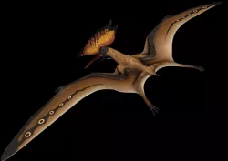 Thalassodromeus Low-poly  3D model