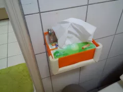 Tissue holder