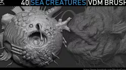 Zbrush - Sea Creatures VDM Brush 3D model