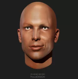 3D Head Model  3D model