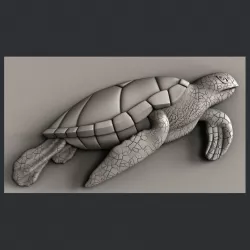 3d STL models for CNC turtle 3D model