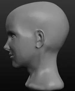 Beautiful womans face 3D model
