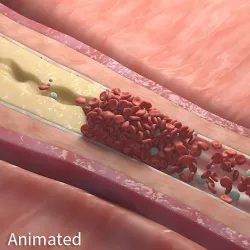 BloodStream Animation 3D model