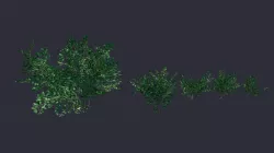 Bush LowPoly Low-poly  3D model