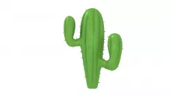 Cactus 3D model