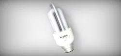 COMPACT FLUORESCENT LIGHT (CFL)