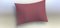 Cushion