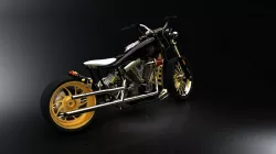 custom bike