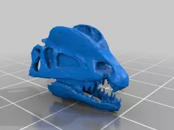 Dilophosaurus Head