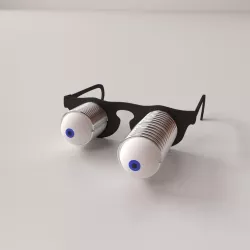 Eyeball Glasses 3D model