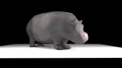 Hippo 3D model