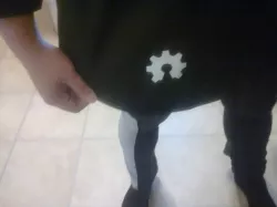 Iron-on Logo Test