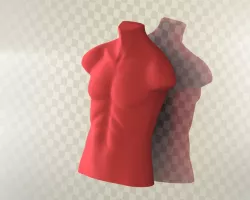 man body-3